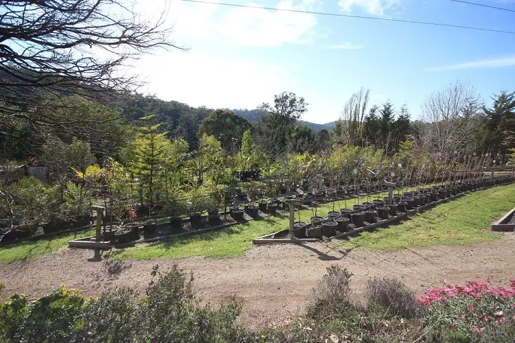 Sixth view of Homely rural property listing, 3860 Princes Highway, Pambula NSW 2549