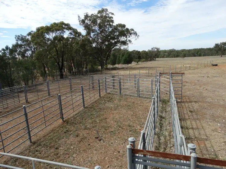 Main view of Homely rural property listing, . Urana Road, Walbundrie NSW 2642