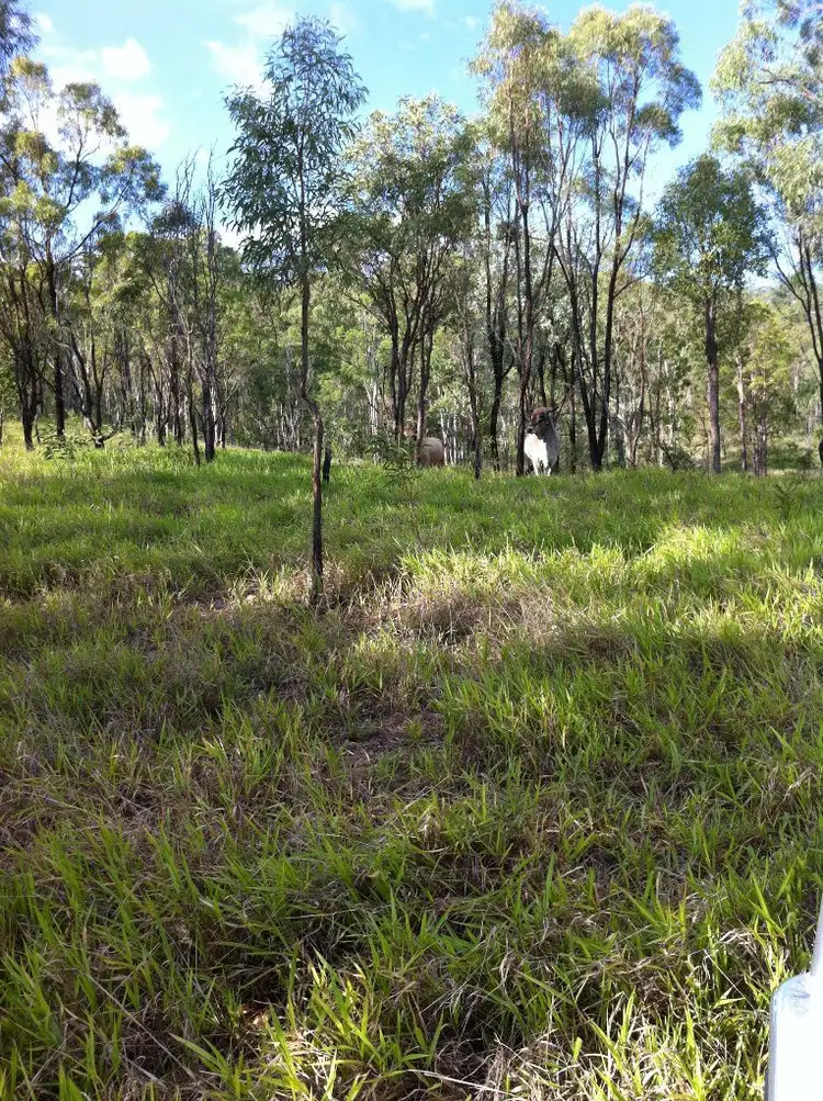 Fifth view of Homely rural property listing, 140 Limestone Road, Struck Oil QLD 4714