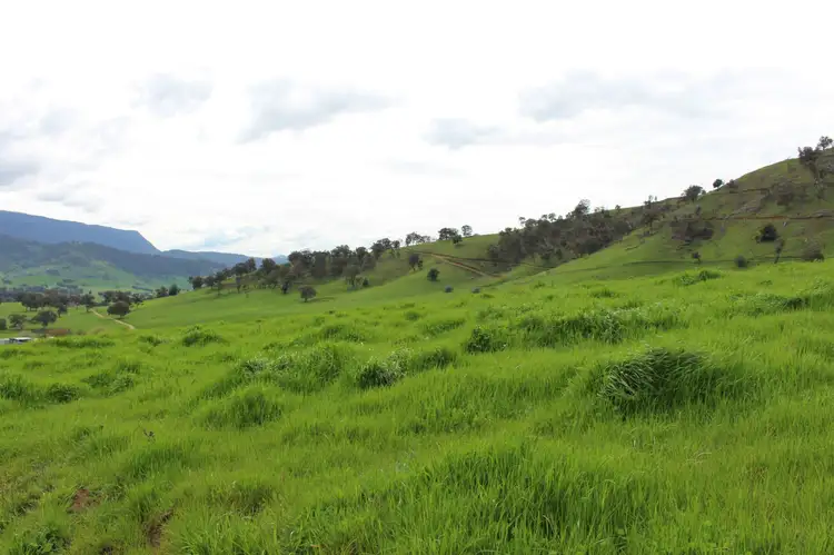 Seventh view of Homely rural property listing, PL13 Evans Road, Cudgewa VIC 3705