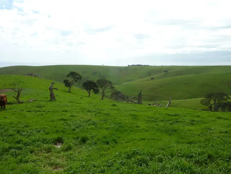 Fourth view of Homely rural property listing, Lot 52 Forktree Road, Carrickalinga SA 5204