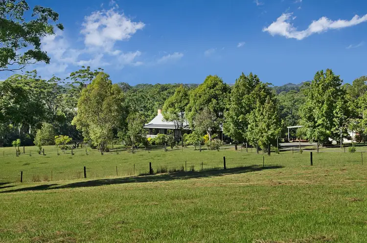 Fifth view of Homely rural property listing, 190 Mortons Creek Road, Beechwood NSW 2446