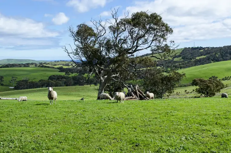 Main view of Homely rural property listing, Lot 91 Coomooloo Road, Yankalilla SA 5203