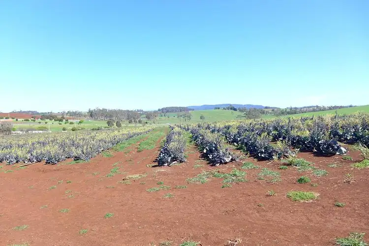 Second view of Homely rural property listing, 220 Torquay Road, East Devonport TAS 7310