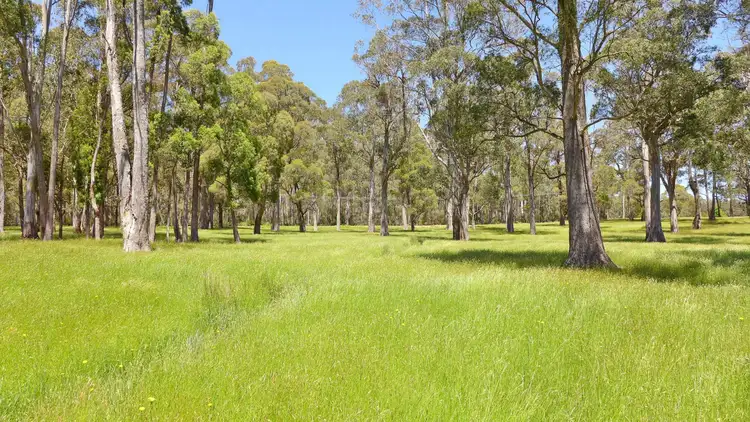 Fourth view of Homely rural property listing, 916 Claude Road, Sheffield TAS 7306
