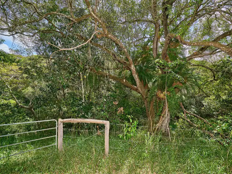 Sixth view of Homely land listing, Lot 14 55 Adams Road, Yungaburra QLD 4884