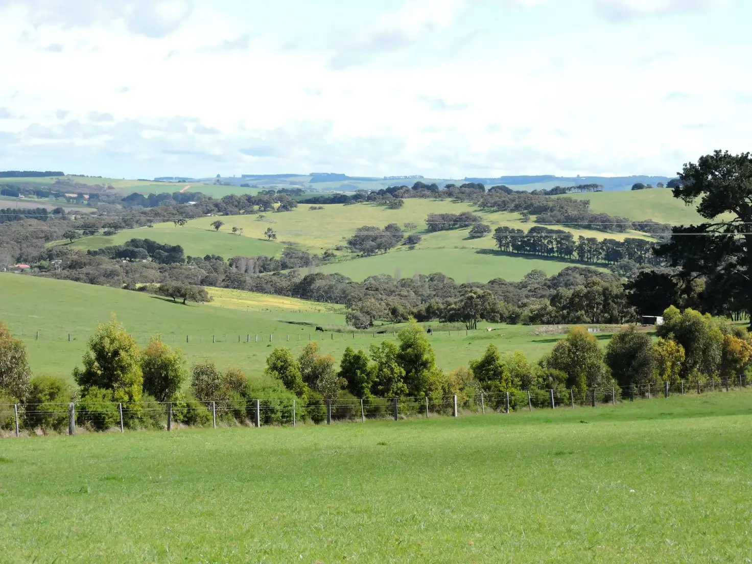 Main view of Homely rural property listing, 532 Goolwa Road, Mount Compass SA 5210