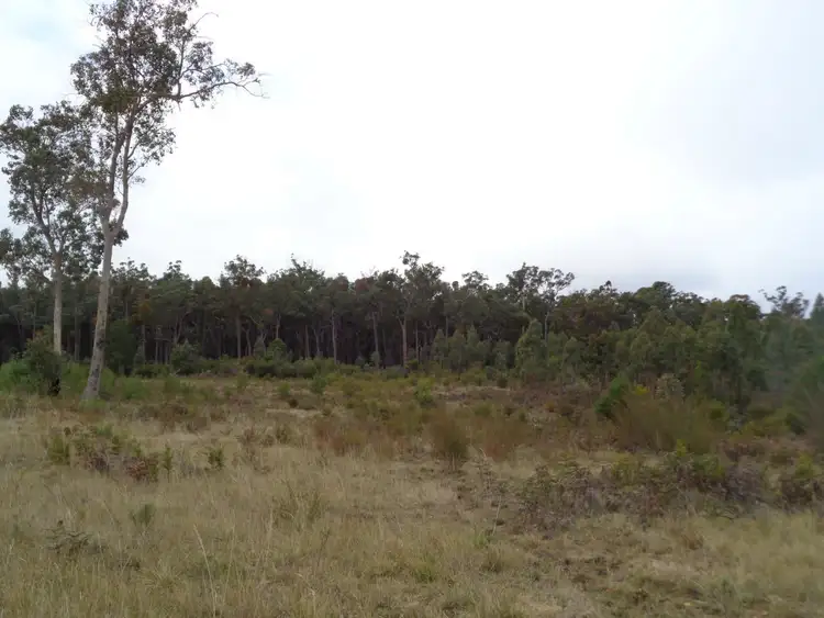 Second view of Homely rural property listing, 370 Bruthen Buchan Road, Nowa Nowa VIC 3887