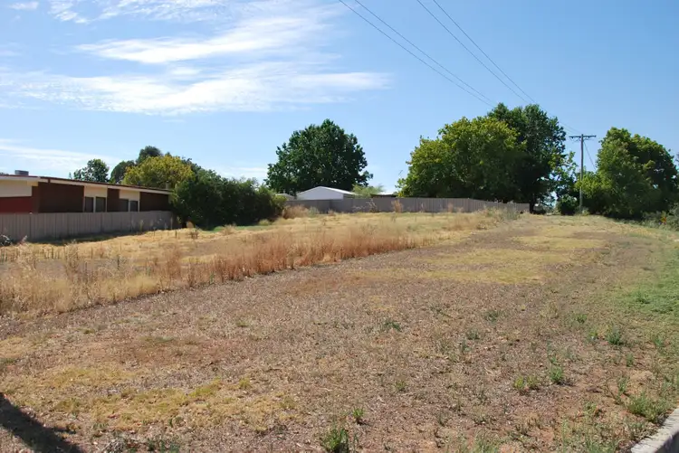41 Collie Street, Barooga NSW 3644