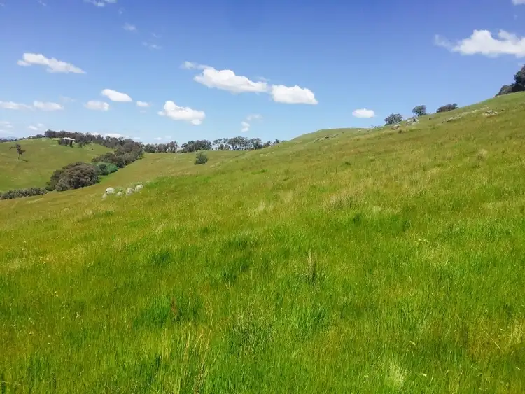 Sixth view of Homely rural property listing, . Spring Gully Road, Wodonga VIC 3690