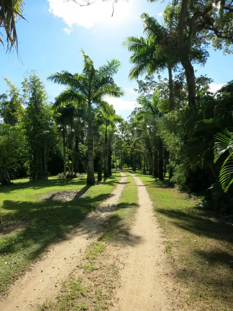 Third view of Homely rural property listing, 184 Stony Creek Road, Cardwell QLD 4849