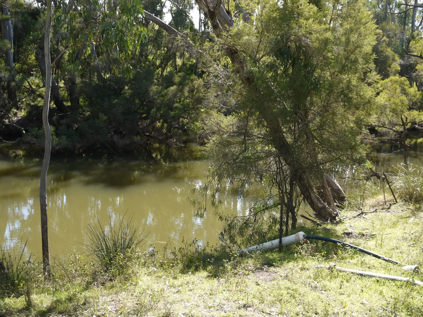 Main view of Homely rural property listing, Lot 7 Bosnjaks Road, Glenarbon QLD 4385