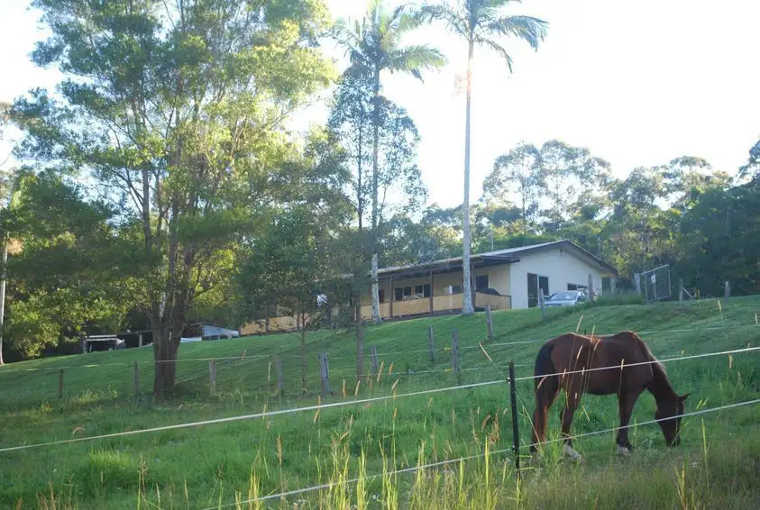 Main view of Homely house listing, 125 Hidden Valley Road, North Arm QLD 4561