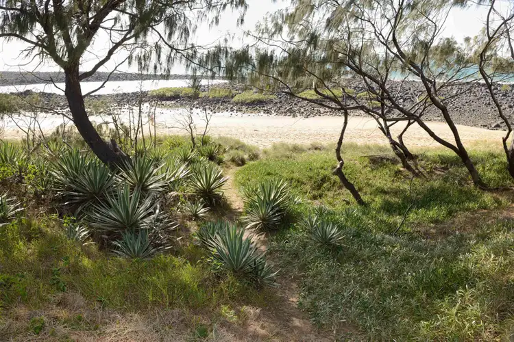 Fifth view of Homely house listing, 84 MILLER STREET, Bargara QLD 4670