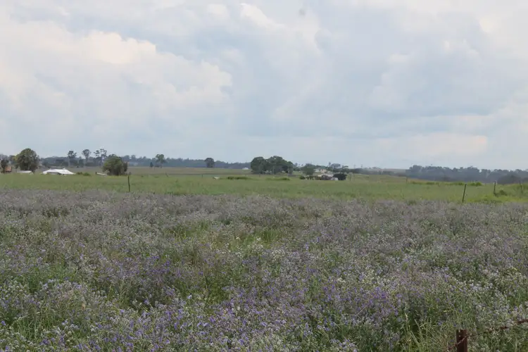 Third view of Homely rural property listing, Address available on request