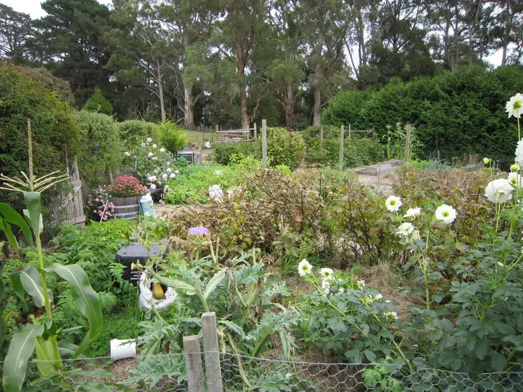 Sixth view of Homely house listing, 56 Henslowe Street, Spreyton TAS 7310