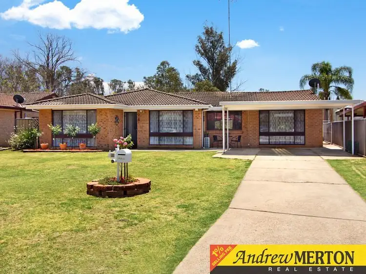 Second view of Homely house listing, 13 Tanbark Circuit, Werrington Downs NSW 2747