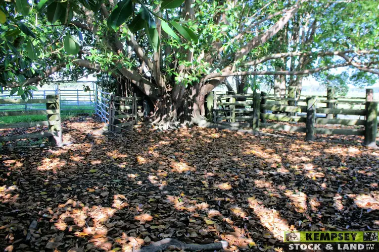 Sixth view of Homely rural property listing, Address available on request