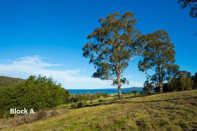 Fifth view of Homely rural property listing, LA (Part Lot 27) K B Timms Drive, Eden NSW 2551