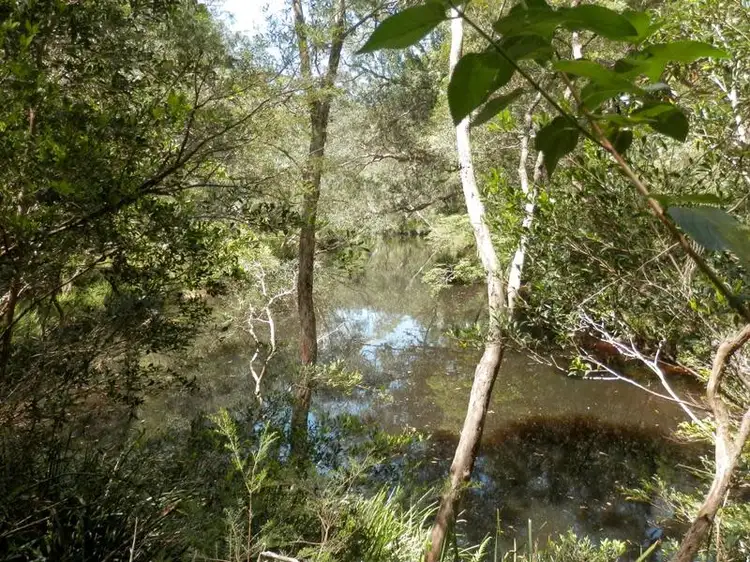 Third view of Homely rural property listing, 336 Sugarbag Road, Drake NSW 2469