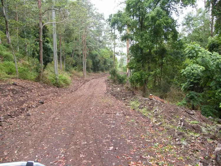 Fifth view of Homely rural property listing, 1347 GRADYS CREEK ROAD, Kyogle NSW 2474