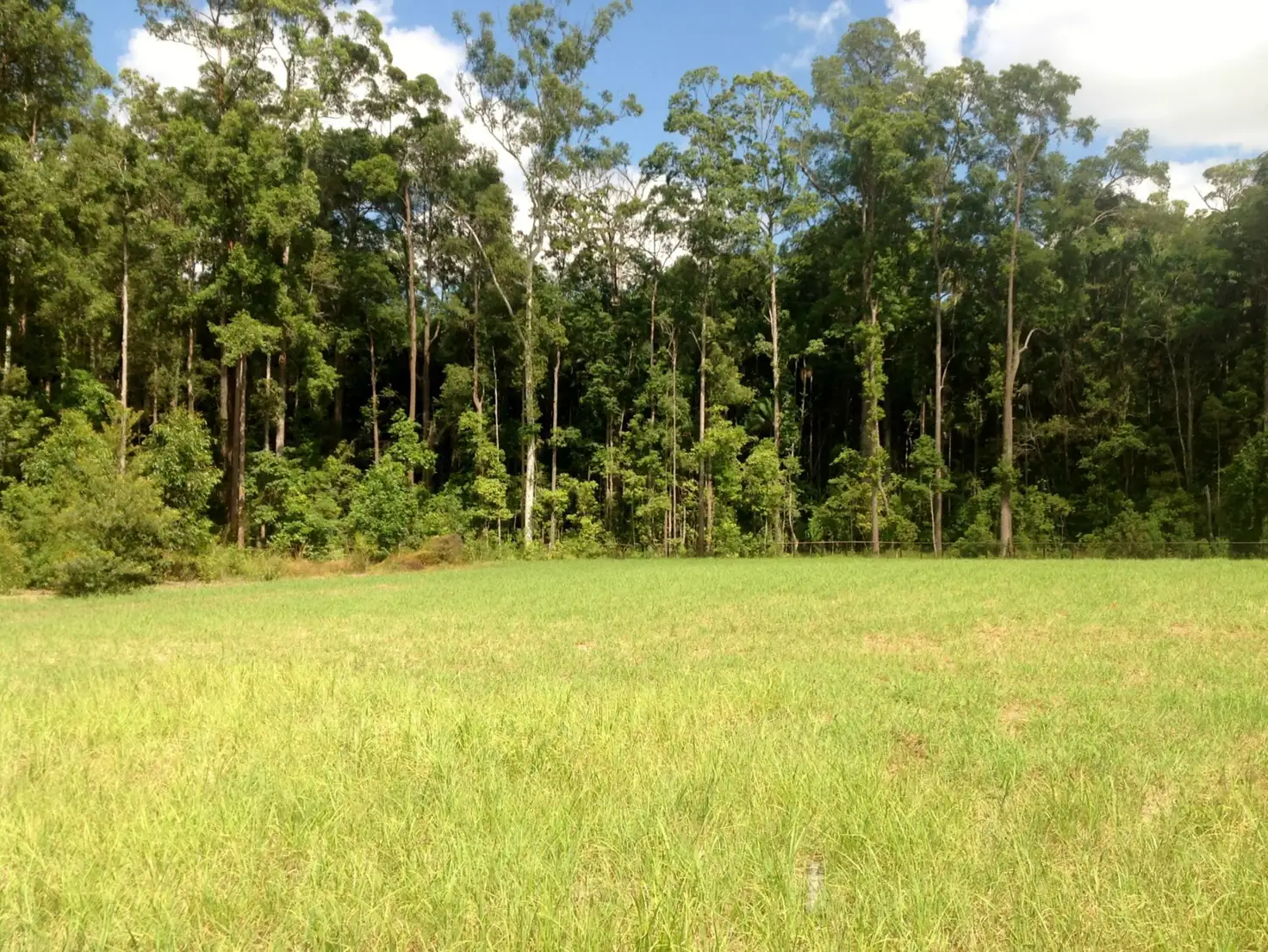 Main view of Homely land listing, 29 Bangalow Close, Palmview QLD 4553