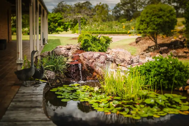Fifth view of Homely rural property listing, 524 South Bank Road, Tamban NSW 2441