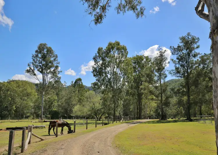 Fifth view of Homely rural property listing, 231 Thornside Road, Widgee QLD 4570