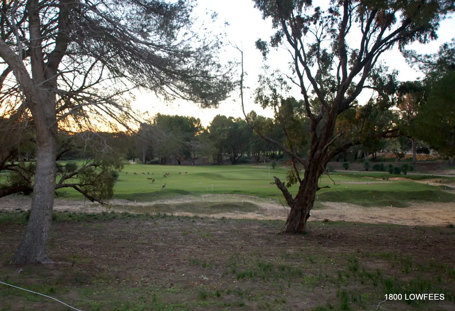 Main view of Homely land listing, LOT 393, 26 Stableford Loop, Yanchep WA 6035