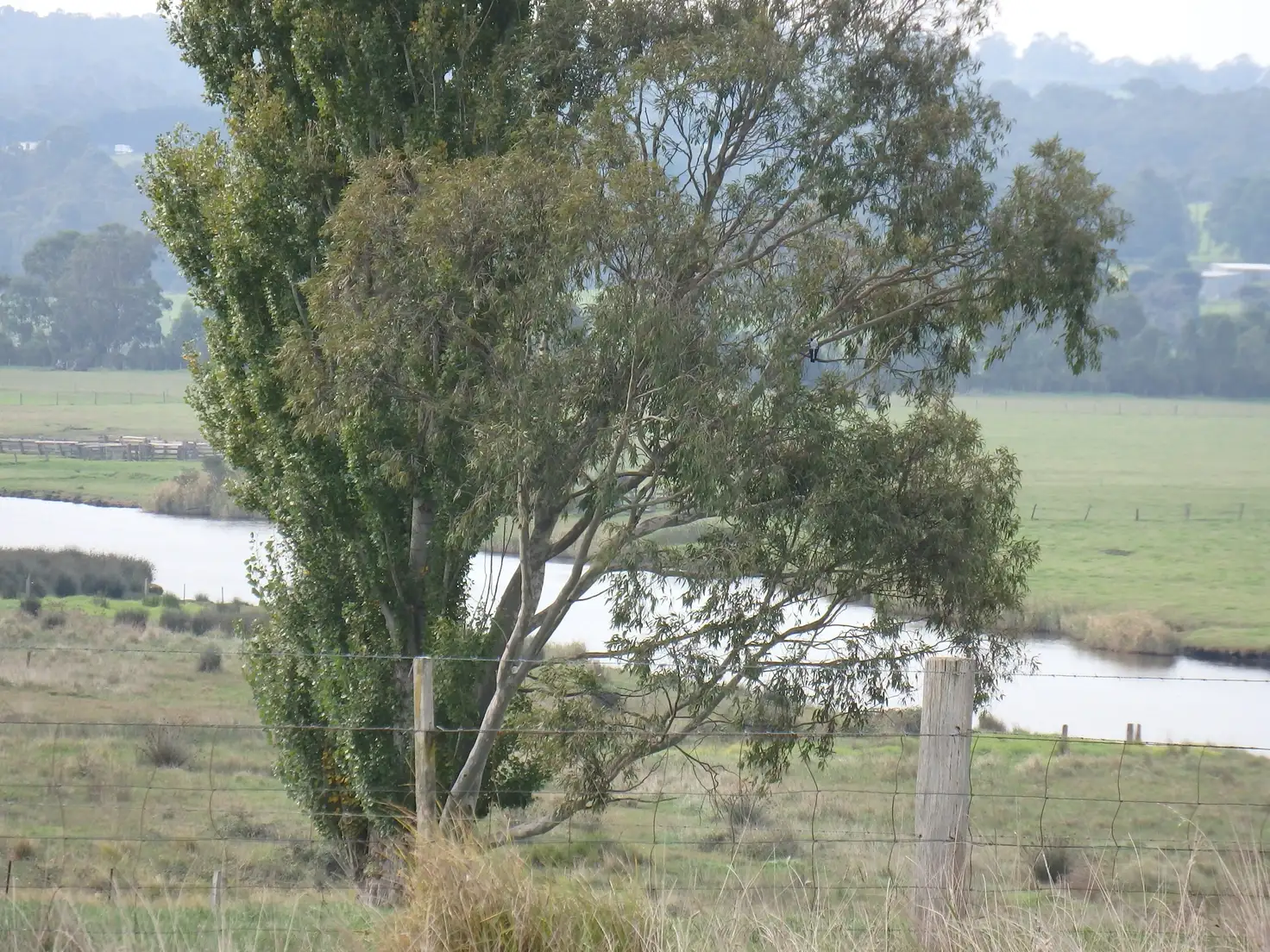 Main view of Homely land listing, 700 Nicholson-sarsfield Road, Sarsfield VIC 3875