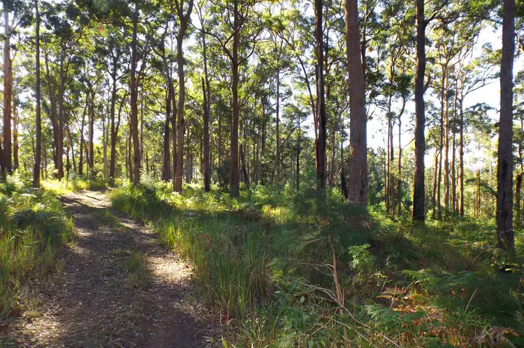 Sixth view of Homely land listing, L50 Glider Spur, Kew NSW 2439