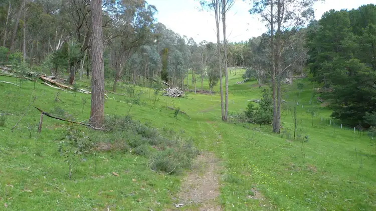 Fifth view of Homely rural property listing, 389 Davies Road, Warrenbayne VIC 3670