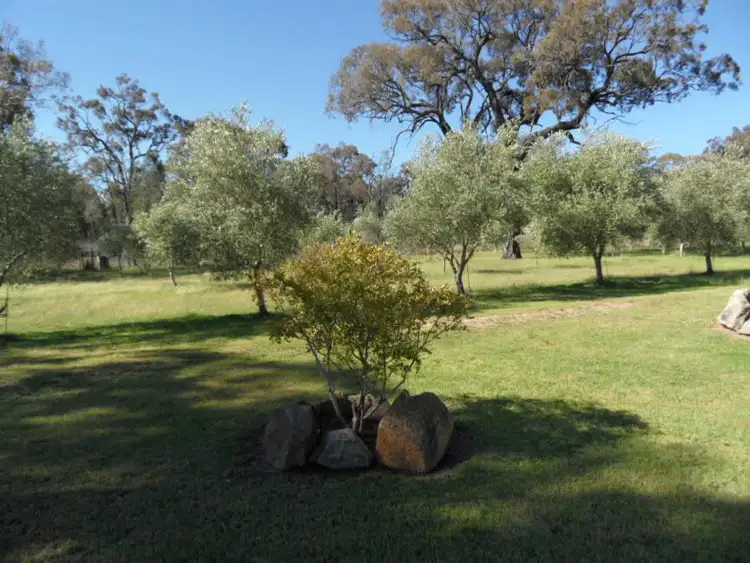 Fifth view of Homely rural property listing, 1757 Texas Road, Stanthorpe QLD 4380