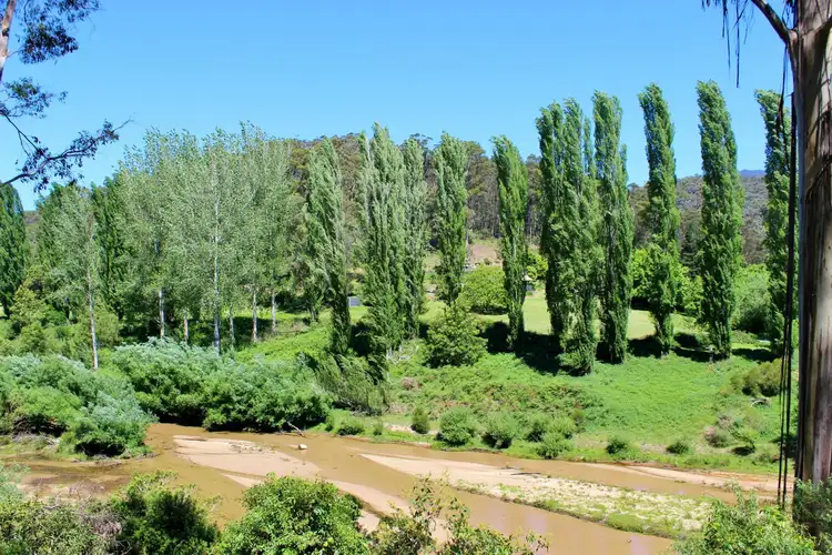 Second view of Homely rural property listing, 1625 Lower Towamba Road, Kiah NSW 2551