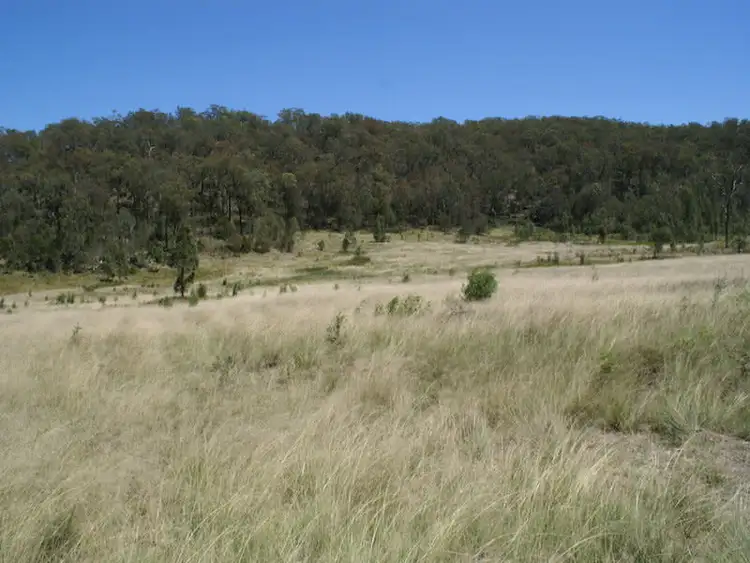 Seventh view of Homely rural property listing, Lot 22 Putty Road, Putty NSW 2330