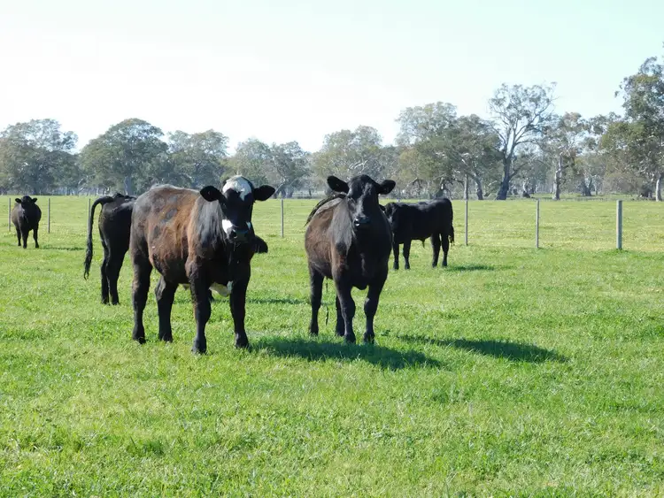 Sixth view of Homely rural property listing, Address available on request