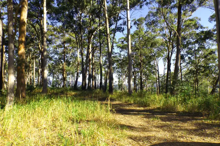 Seventh view of Homely land listing, L50 Glider Spur, Kew NSW 2439