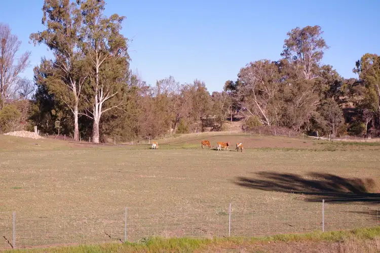 Second view of Homely land listing, 9810 New England Highway, Wallabadah NSW 2343