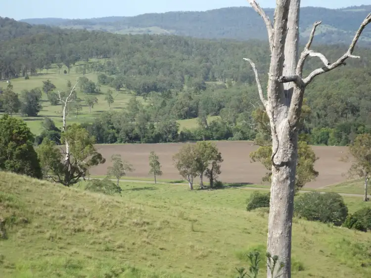 Second view of Homely rural property listing, 2914 Sextonville Rd, Woolners Arm NSW 2470