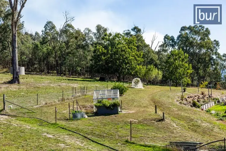 Sixth view of Homely rural property listing, 473 Switchback Rd, Mudgegonga VIC 3737