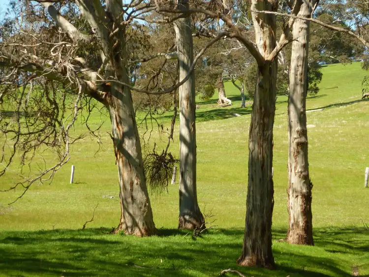 Sixth view of Homely rural property listing, Section 1092 Tonto Road, Normanville SA 5204