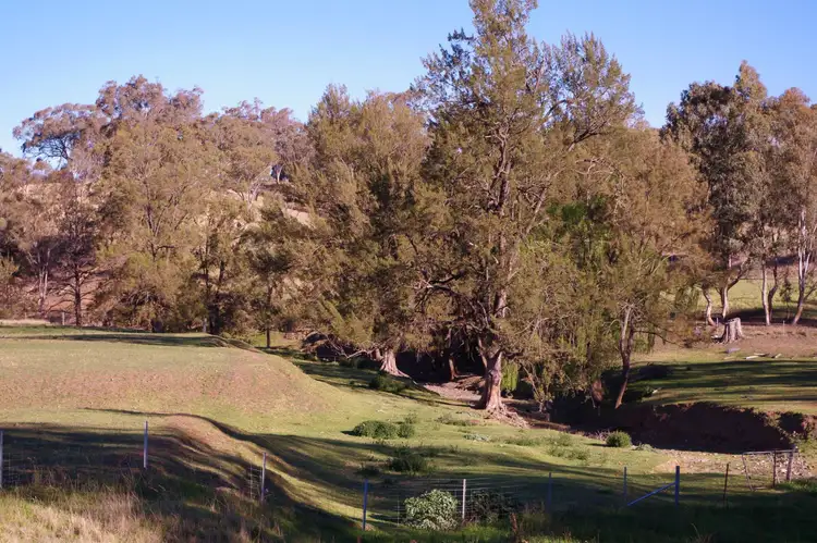 Main view of Homely land listing, 9810 New England Highway, Wallabadah NSW 2343