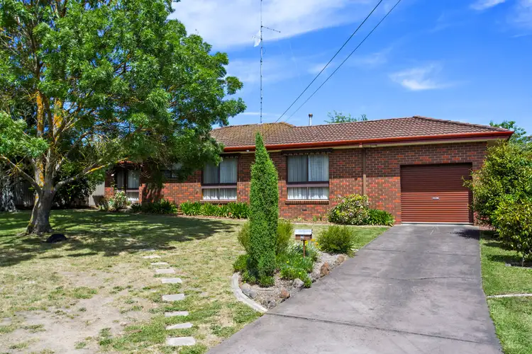 Main view of Homely house listing, 20 Hermitage Ave, Mount Clear VIC 3350