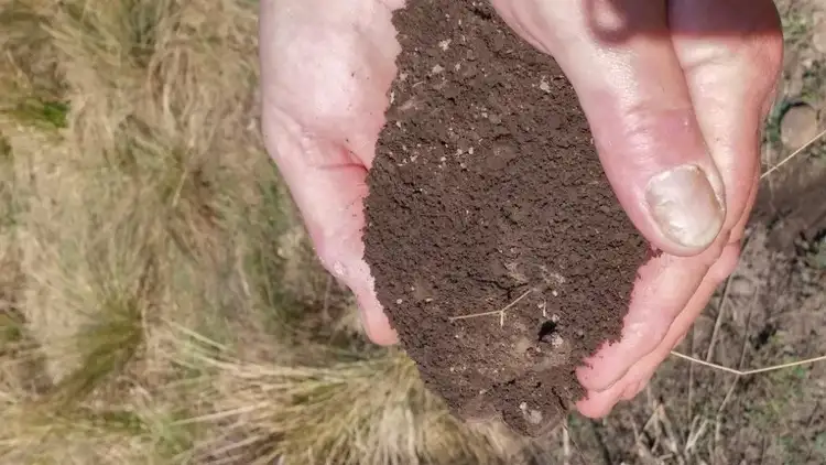 Seventh view of Homely land listing, L31 Wagonga Scenic Drive, Narooma NSW 2546