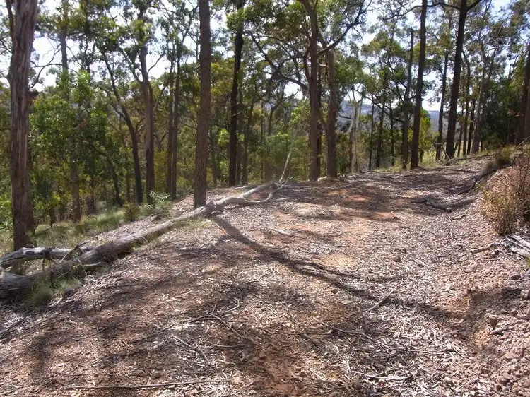 Third view of Homely rural property listing, L417 Lyrebird Lane, Millingandi NSW 2549