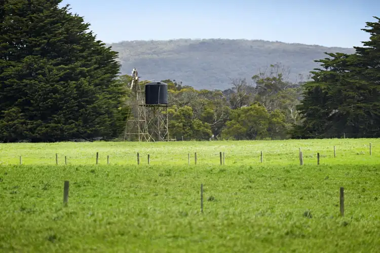 Fifth view of Homely rural property listing, 1620 Heath Road, Portland VIC 3305