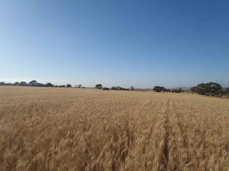 Seventh view of Homely land listing, 2 Huddleston Road, Crystal Brook SA 5523