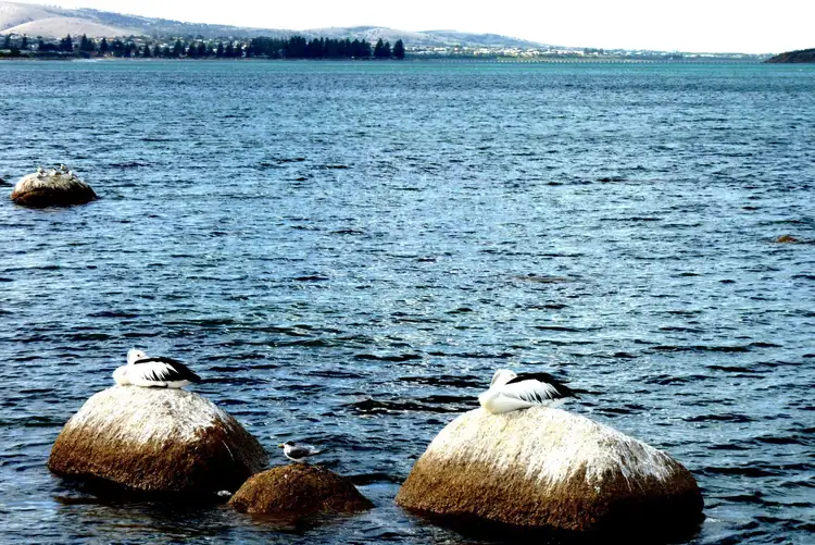 Fifth view of Homely rural property listing, Address available on request