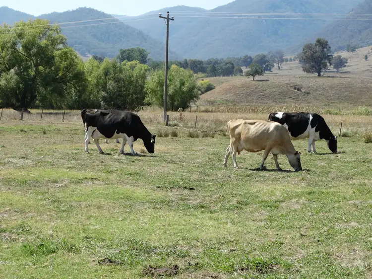 Sixth view of Homely rural property listing, . Cudgewa Valley Road, Cudgewa VIC 3705