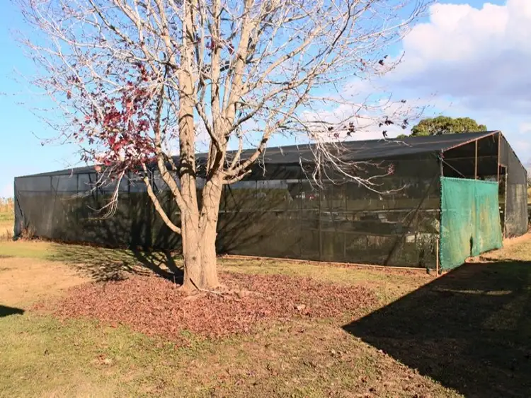 Third view of Homely rural property listing, 10 Careys Road, Meadowvale QLD 4670